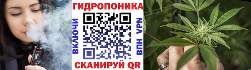 Бошки Шишки гибрид Шумиха