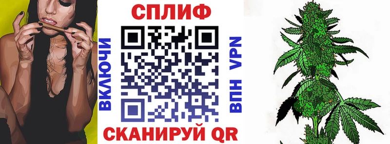 МАРИХУАНА сатива  Купить  Шумиха 